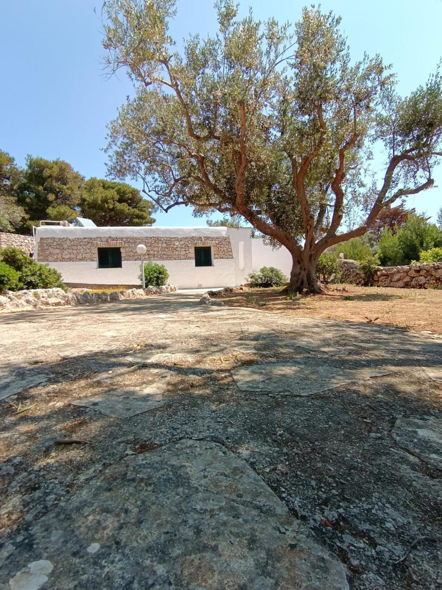 Scogliera Del Gabbiano Apartment Santa Maria di Leuca Ngoại thất bức ảnh