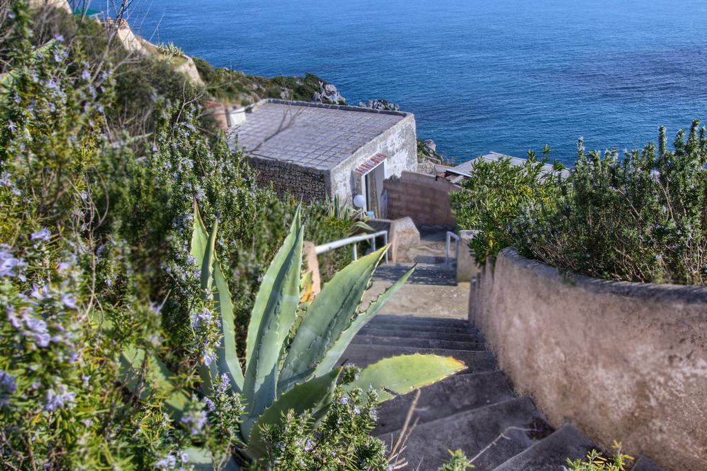 Scogliera Del Gabbiano Apartment Santa Maria di Leuca Ngoại thất bức ảnh